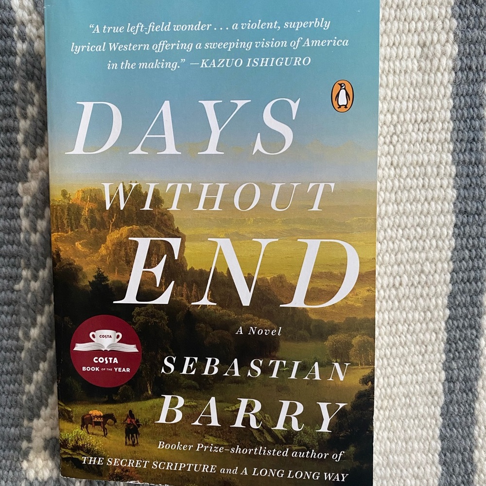 "Days Without End" by Sebastian Barry